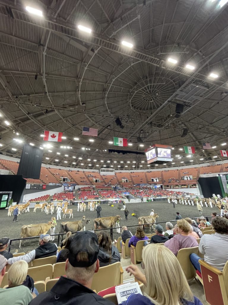 Livestock show at the World Dairy Expo